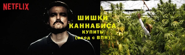 СК Бородино