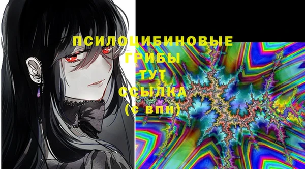 mdpv Бронницы