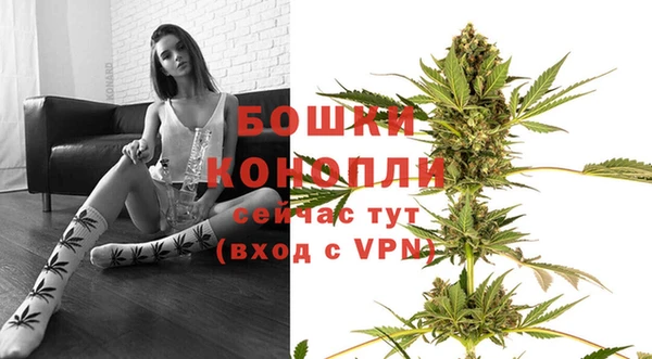 СК Бородино