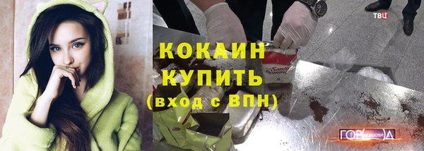 СК Бородино