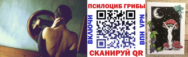 Купить  Белинский  Галлюциногенные грибы мицелий 